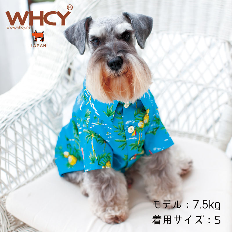 WHCY�ʥ�������ϡ��ȡ˥ɥå��� ������