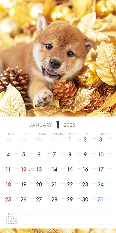 犬ページ pw2026-0029