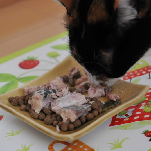 ��� �ߤΤ� ���д�