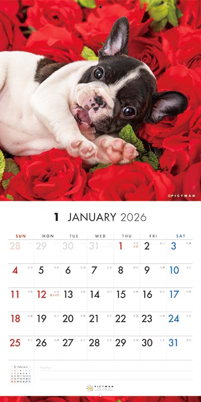 PICTWAN��������2026��SȽ�ۥե������֥�ɥå�
