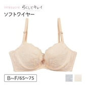 【お買い得品】らくしてキレイ ソフトワイヤーtype ブラジャー単品 ナチュラルバストメイク BCDEFカップ アンダー65/70/75cm IBT353