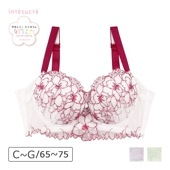 【お買い得品】なでしこブラ 脇高スレンダースタイル ブラジャー単品 サイドすっきりメイク CDEFGカップ アンダー65/70/75cm IBT371