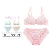 【お買い得品】毎日フィットブラ Wパッドボリュームタイプ ブラセット ふっくらデコルテメイク BCDEカップ アンダー 60/65/70/75cm IBT359S