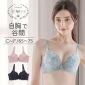 ナイス谷間ブラ ブラジャー単品 くっきり谷間メイク CDEFカップ アンダー65/70/75cm TBT007