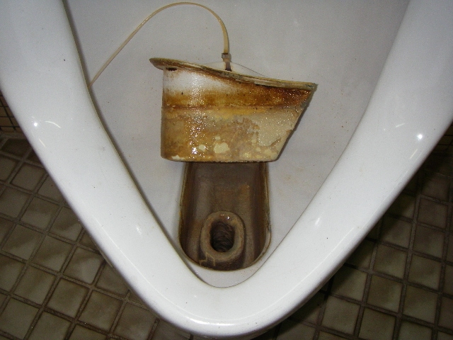 ���ȥ�å���99 2L��6�ܡ�Ǣ�н����