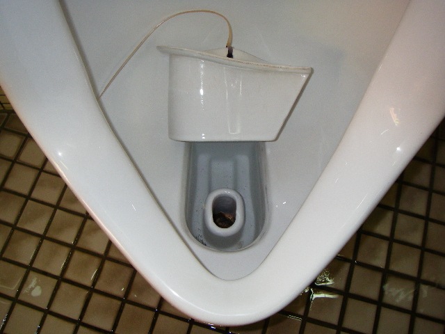 ���ȥ�å���99 2L��6�ܡ�Ǣ�н����