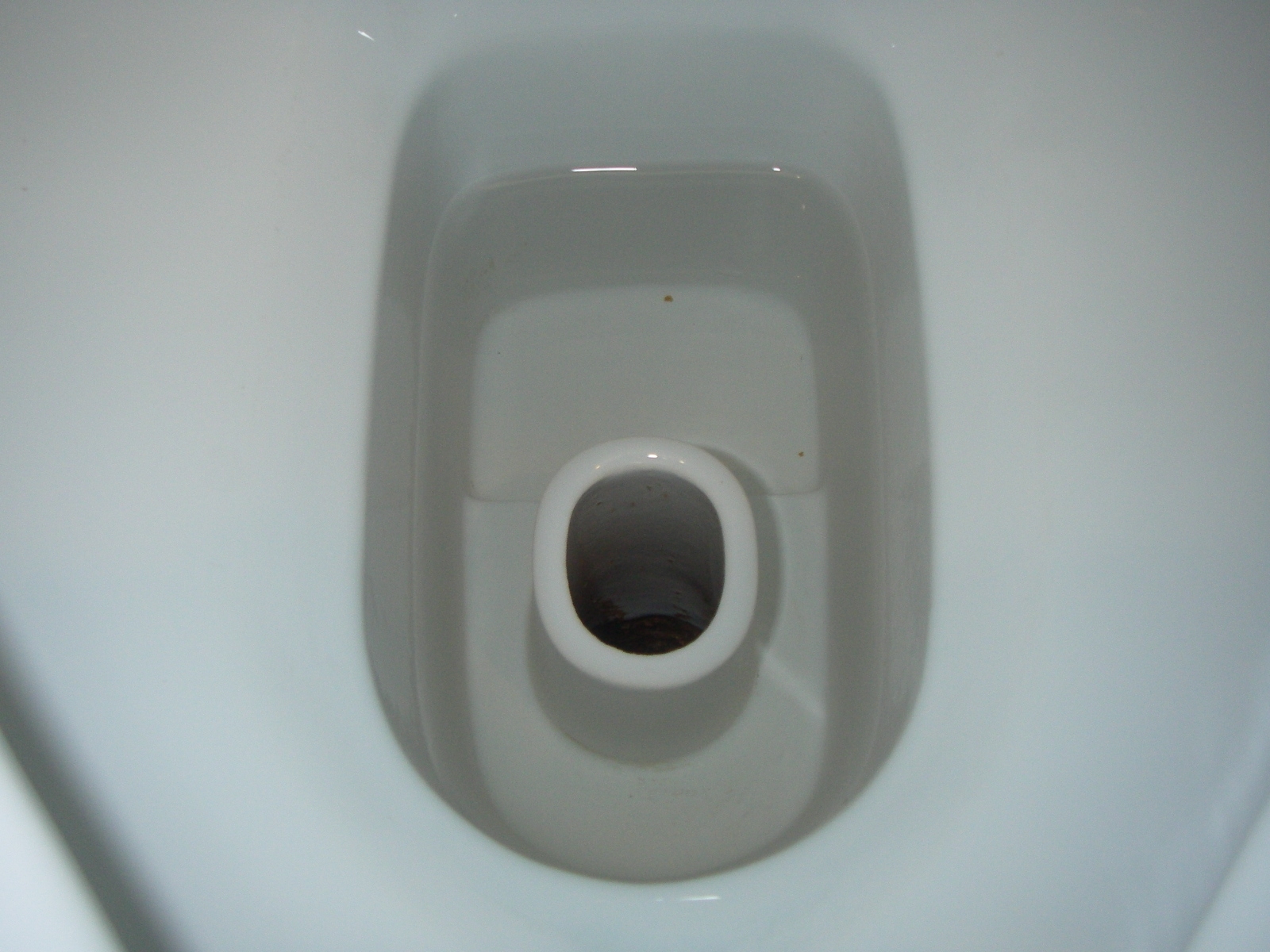 ���ȥ�å���99 2L��6�ܡ�Ǣ�н����