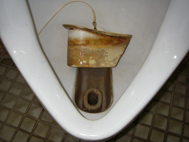 ���ȥ�å���99 2L��Ǣ�н����