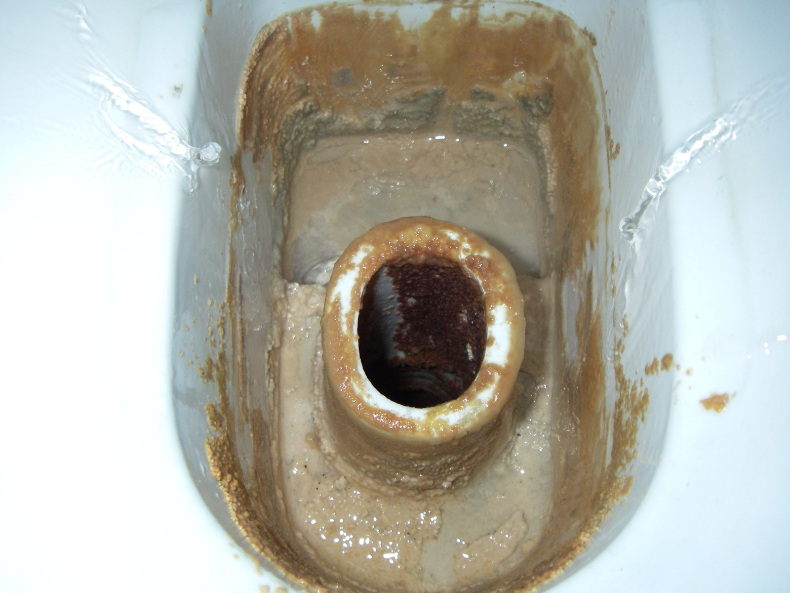 ���ȥ�å���99 2L��Ǣ�н����