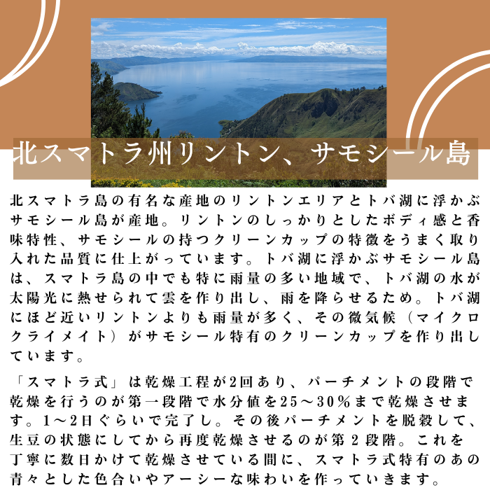インドネシア スマトラ 200g＜フレンチロースト＞ | 〔 苦みのあるコク