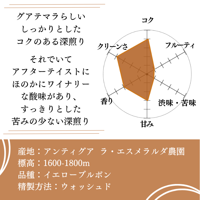 グアテマラ アンティグア　200g＜フレンチロースト＞