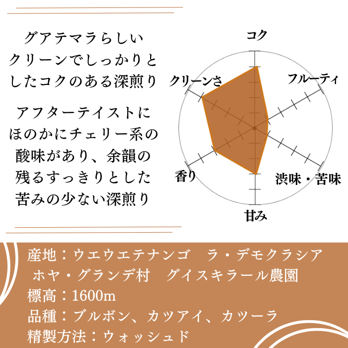 グアテマラ グイスキラール　200g＜フレンチロースト＞