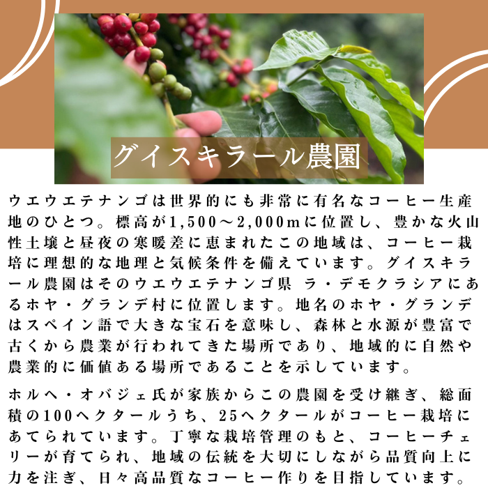 グアテマラ グイスキラール　200g＜フレンチロースト＞