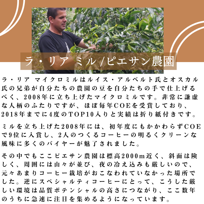 コスタリカ ラ・リア　200g＜フレンチロースト＞