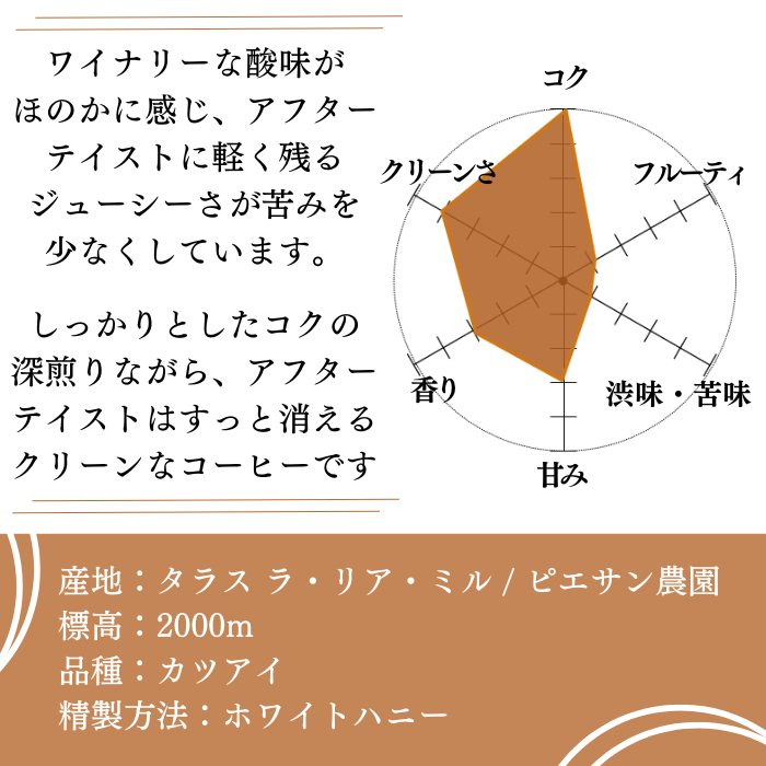 コスタリカ ラ・リア　200g＜フレンチロースト＞