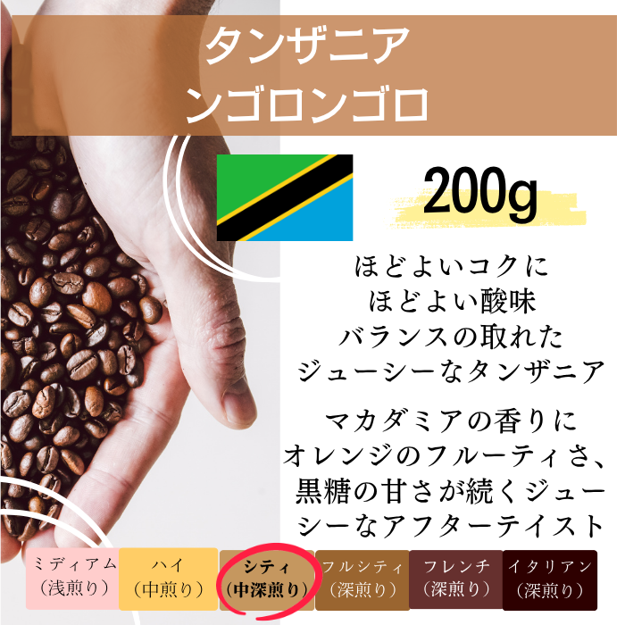 タンザニア ンゴロンゴロ　200g＜シティロースト＞
