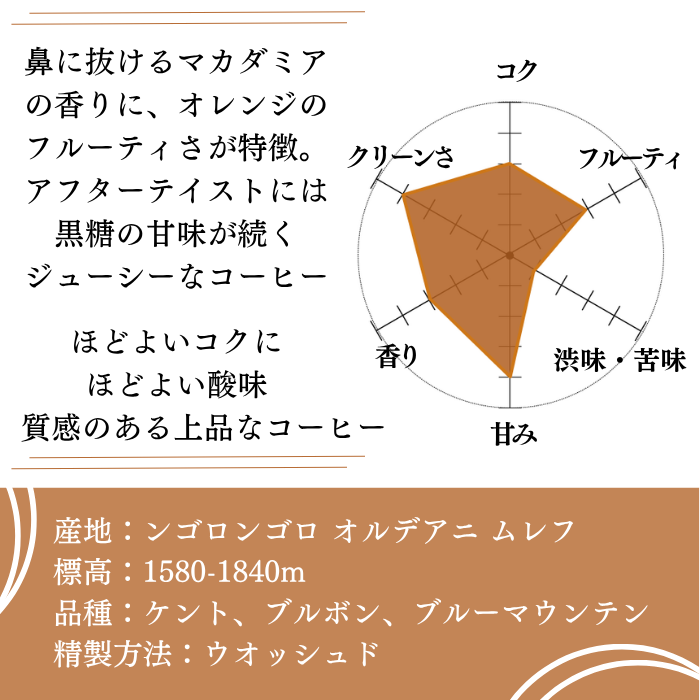 タンザニア ンゴロンゴロ　200g＜シティロースト＞
