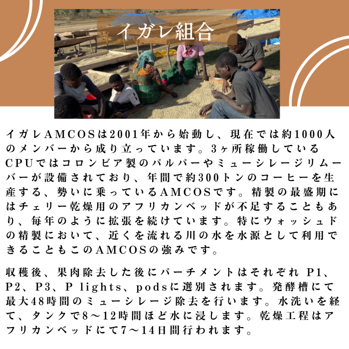 タンザニア イガレ　200g＜フレンチロースト＞