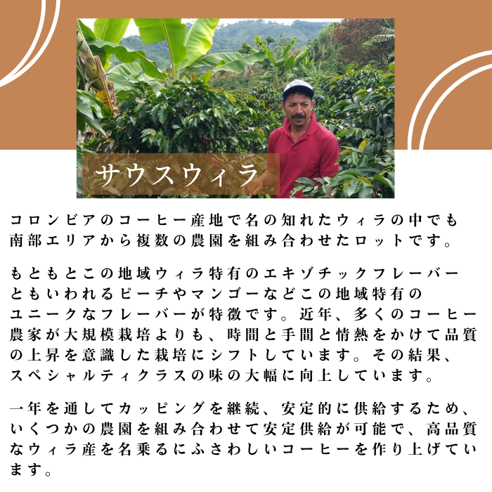 コロンビア ウィラ　200g＜シティロースト＞