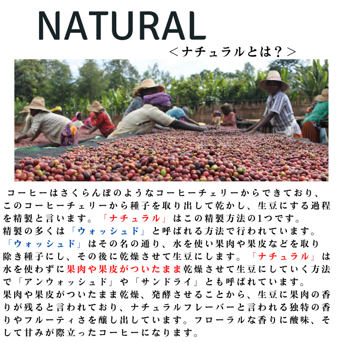 エチオピア グジ バンティネンカ ナチュラル　200g＜シティロースト＞