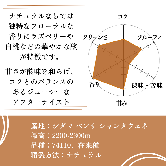 エチオピア シャンタウェネ ナチュラル　200g＜シティロースト＞