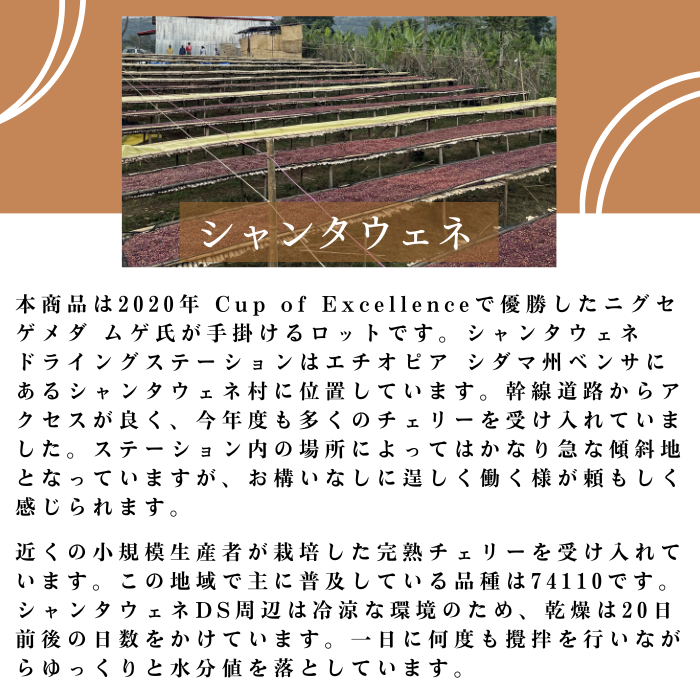 エチオピア シャンタウェネ ナチュラル　200g＜シティロースト＞
