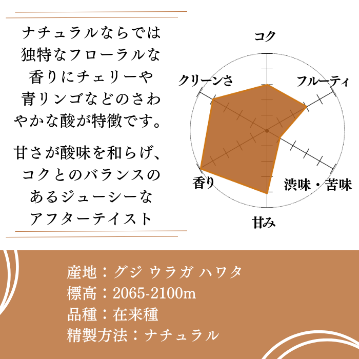 エチオピア ウラガ ハワタ ナチュラル　200g＜シティロースト＞