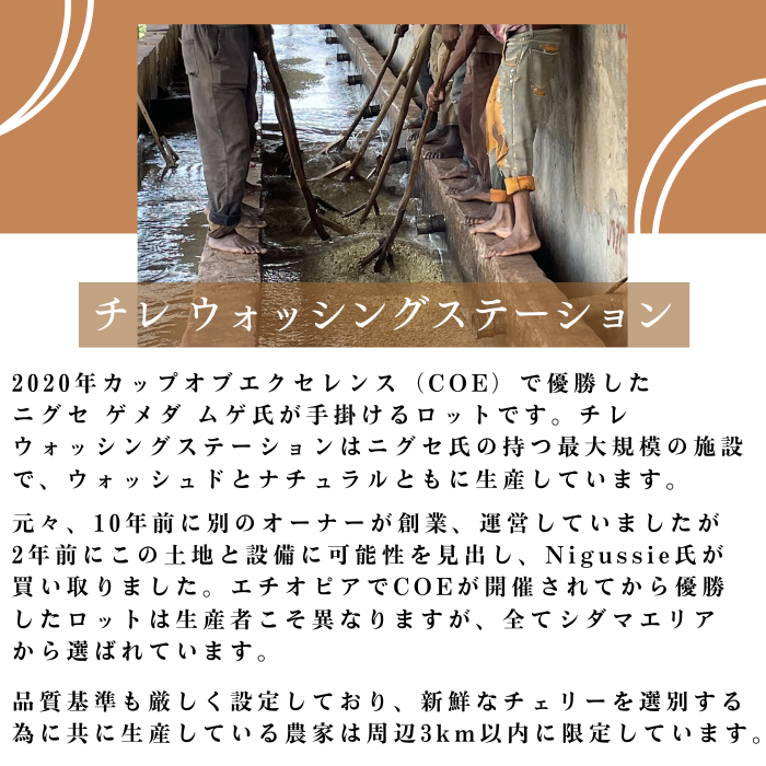 エチオピア シダマ チレ ウォッシュド　200g＜ハイロースト＞