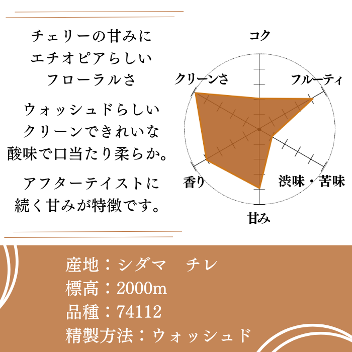 エチオピア シダマ チレ ウォッシュド　200g＜ハイロースト＞