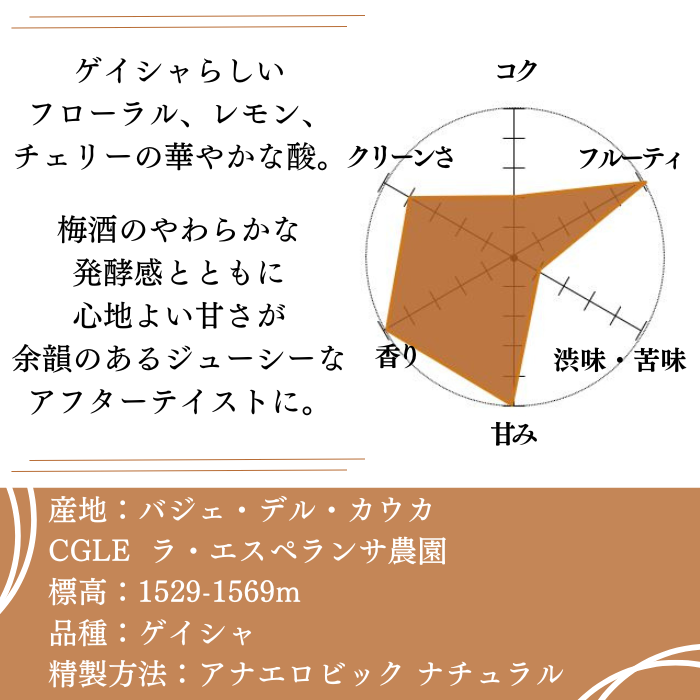 コロンビア CGLE ゲイシャ アナエロビックナチュラル　100g＜ハイロースト＞