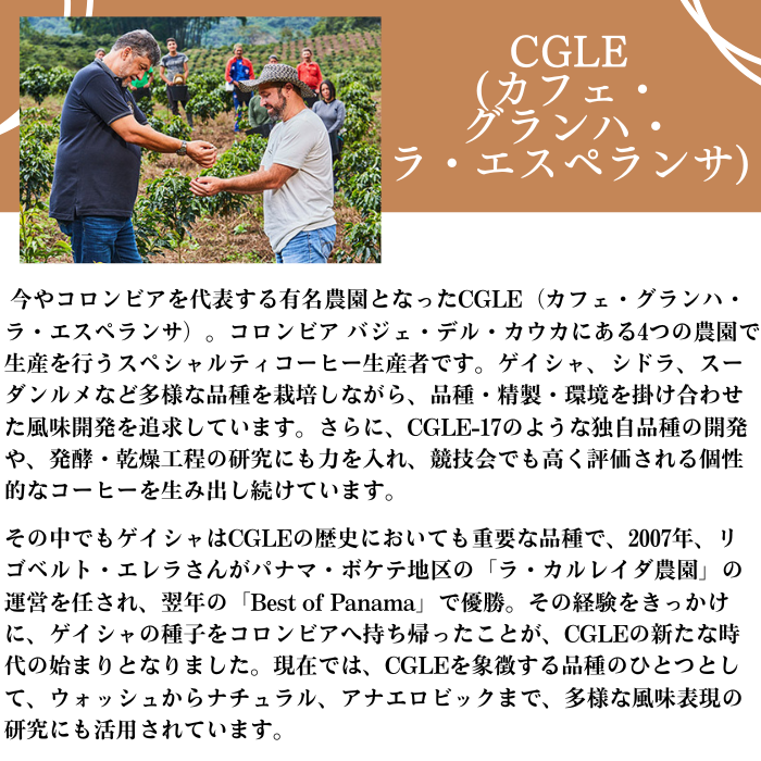 コロンビア CGLE ゲイシャ アナエロビックナチュラル　100g＜ハイロースト＞