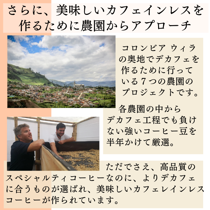 【カフェインレスコーヒー】コロンビア レッドエルカルメン　200g＜シティロースト＞