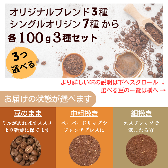 【トライアルセット 300g】10種から選べる3種×100g