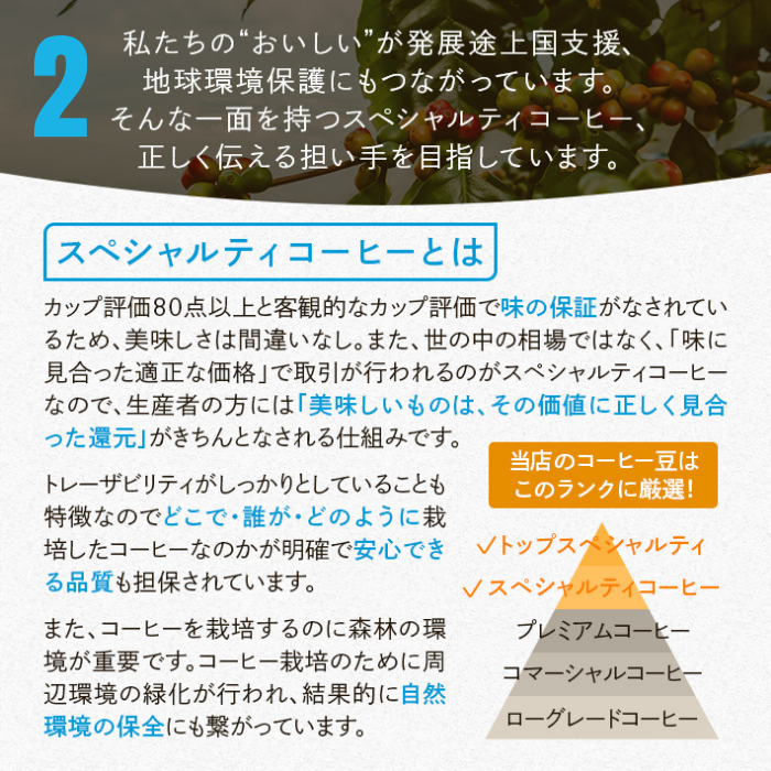 ＜11/14頃 再入荷＞ドリップバッグ 5個セット 個包装 