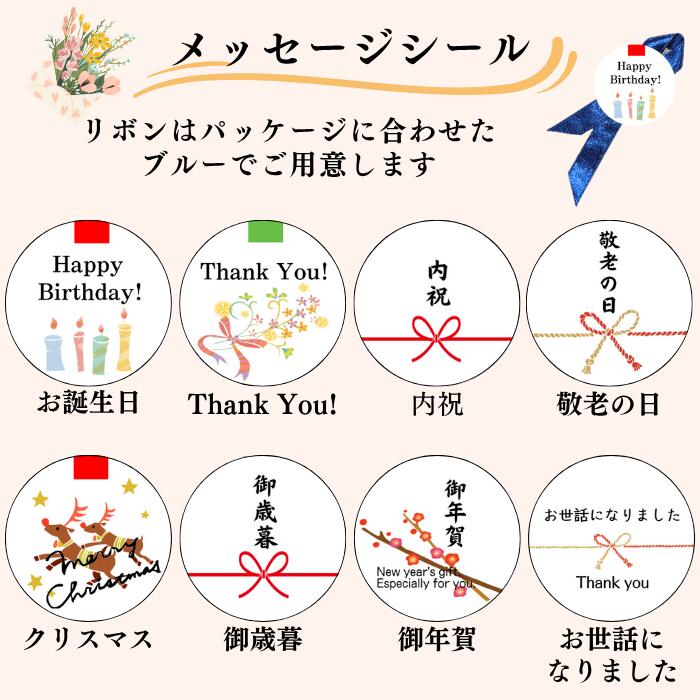 ＜11/14頃 再入荷＞ドリップバッグ 5個セット 個包装 