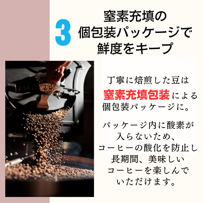 ドリップバッグ 12個 or 45個セット 個包装 　　送料無料