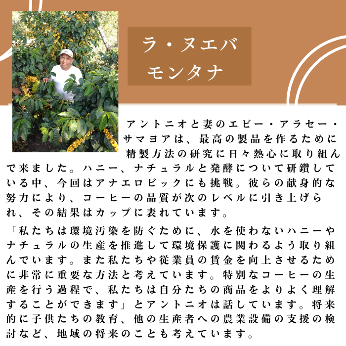 【アナエロビック ナチュラル】グアテマラ ラ・ヌエバ モンタナ 200g＜ハイロースト＞