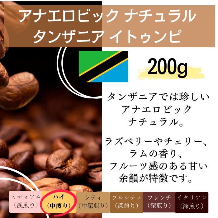 【アナエロビックライム 600g】数量限定2024ニュークロップ 自家焙煎珈琲豆 1kg エルサルバトル アナエロビックSHG