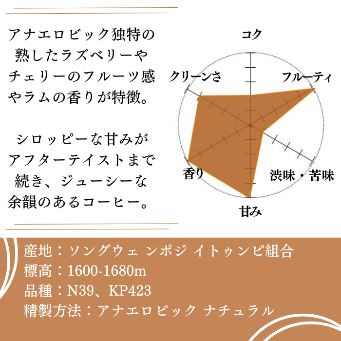 【アナエロビックライム 600g】数量限定2024ニュークロップ 自家焙煎珈琲豆 アナエロビック ナチュラル】タンザニア イトゥンピ 200g＜ハイ