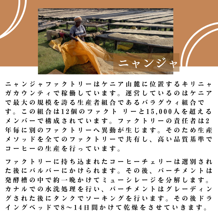 ケニア ニャンジャ 200g＜フレンチロースト＞