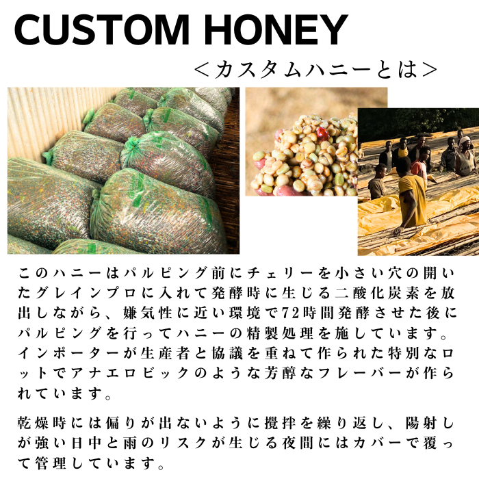【 カスタムハニー】エチオピア ゴティティ レク  200g＜ハイロースト＞
