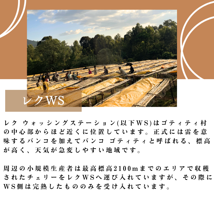 【 カスタムハニー】エチオピア ゴティティ レク  200g＜ハイロースト＞