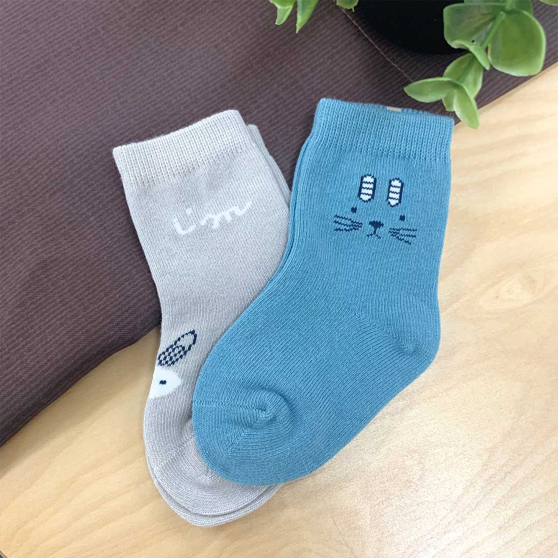 セットソックス