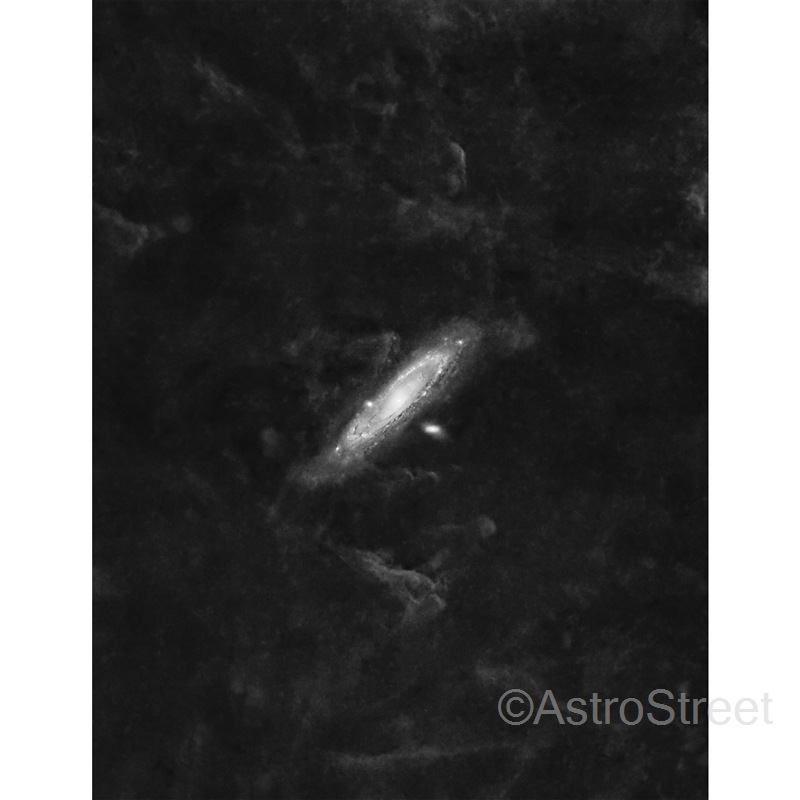 Optolong H-Alpha 3nm �ե��륿�� ��36x2mm