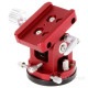WilliamOptics ����� �ӥ����󥹥����� �١����ޥ���� iOptron Skyguider Pro��