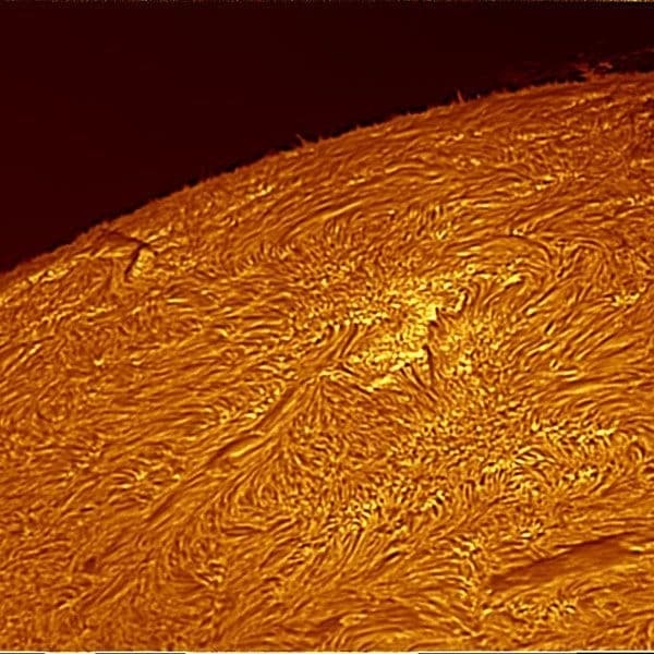 (ͽ)Altair 130mm ȥ饤Х D-ERF ե륿5޶