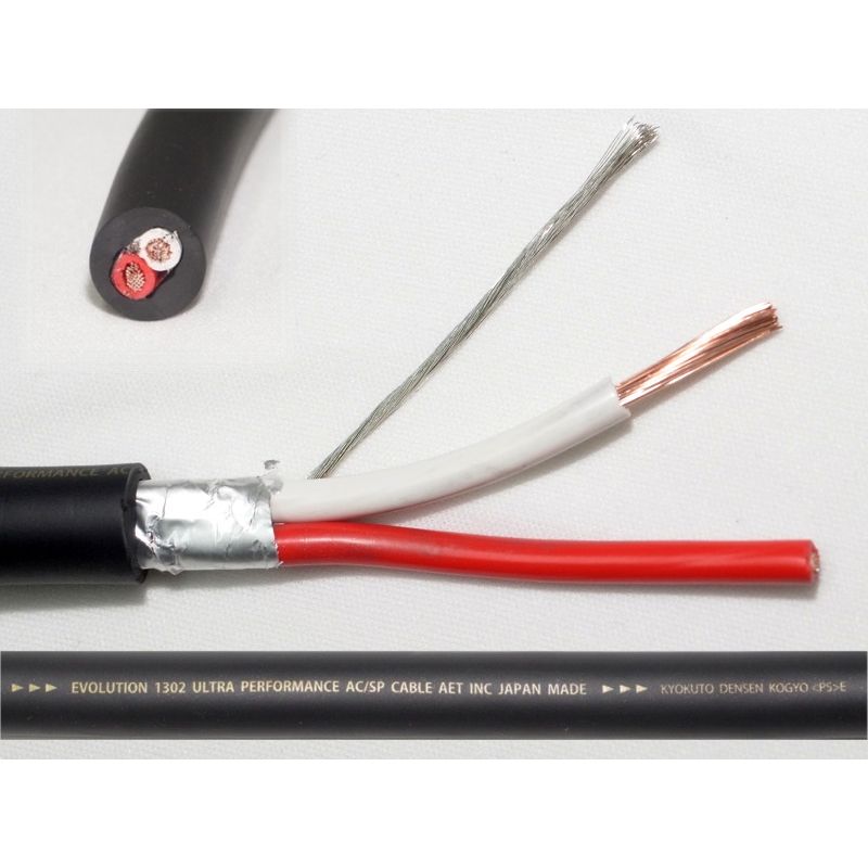 AET - EVO-1302S-SP��10cmñ���ڤ���ꥱ���֥���ü쥨�����󥰺ѡ�JP�աں߸�ͭ��¨Ǽ��