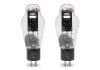 TRIODE - PSVANE WE300B2ܥޥåɥڥ/Ȣ˿ɡJPաں߸ͭ¨Ǽ