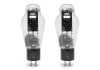 TRIODE - PSVANE WE300B2ܥޥåɥڥ/Ȣʤ˿ɡJPաں߸ͭ¨Ǽ