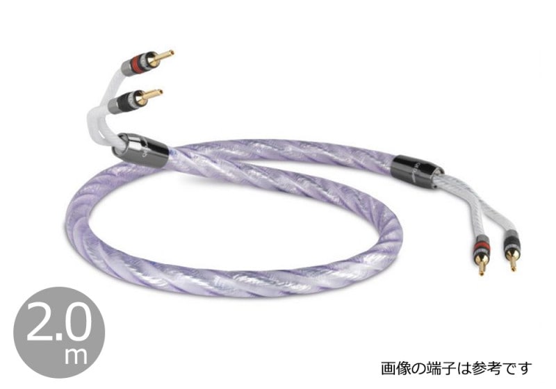 QED - Signature Genesis Silver Spiral/2.0m�ʴ����ʥ��ԡ����������֥롦�ڥ�/��ü������ˡڼ�������/�׻�����ѡۡ�JP�ա�Ǽ���ϳ�ǧ�头Ϣ����